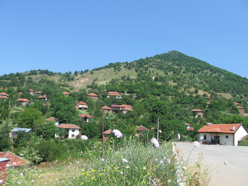 Изглед на село Лесново