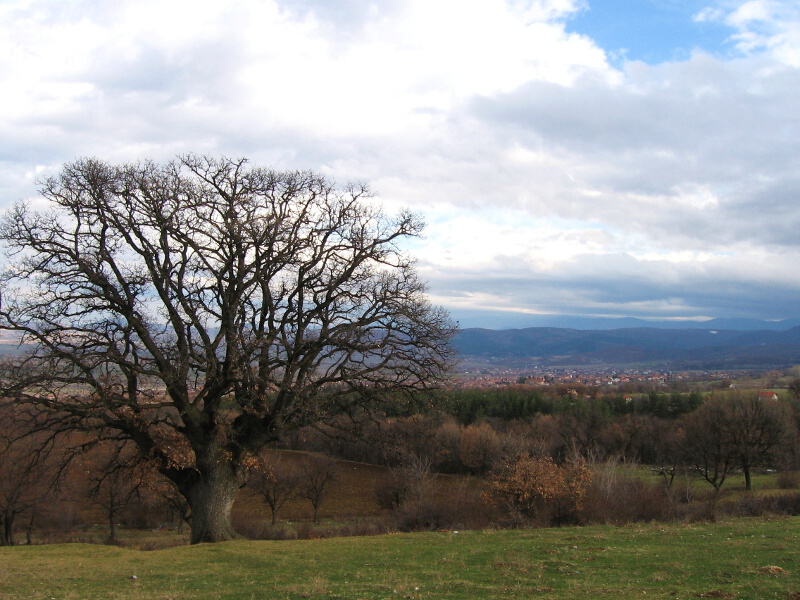 Село Паталеница и околността му