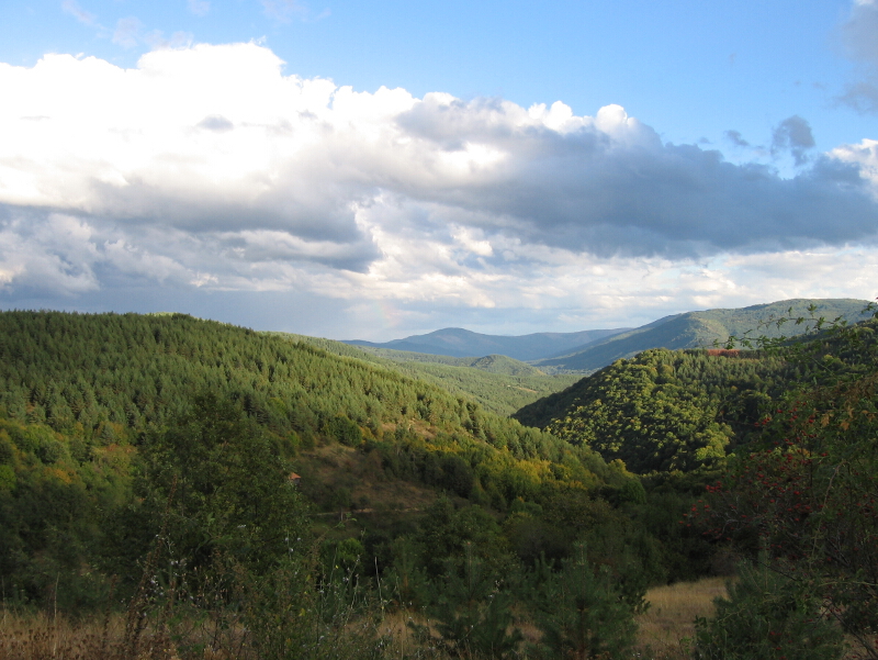 Землището на село Чешлянци