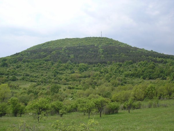 Връх Струпешка могила