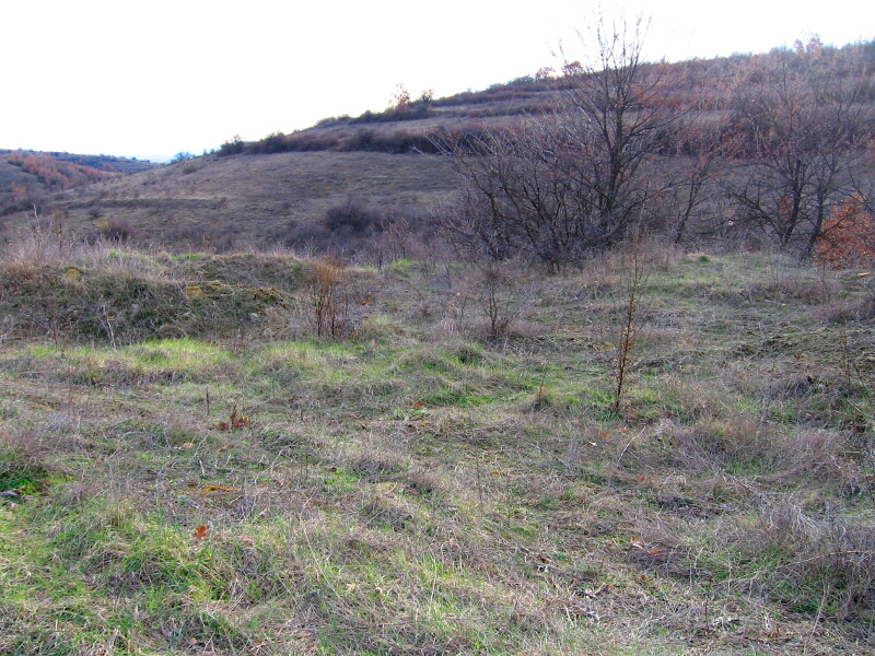Местността "Кралев дол" край с. Коркина с останки от градежи