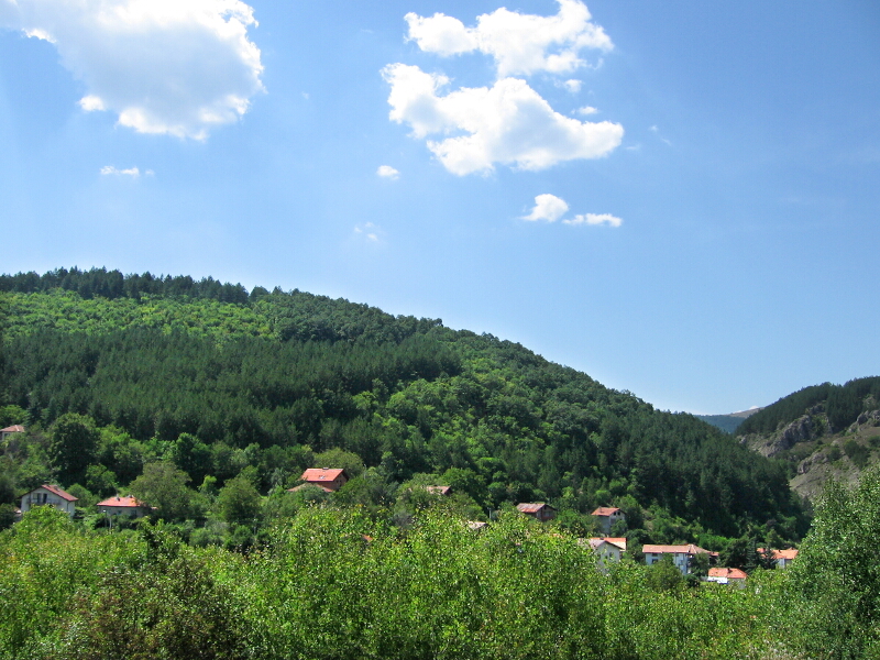 Смесени гори на възвишението Могилата